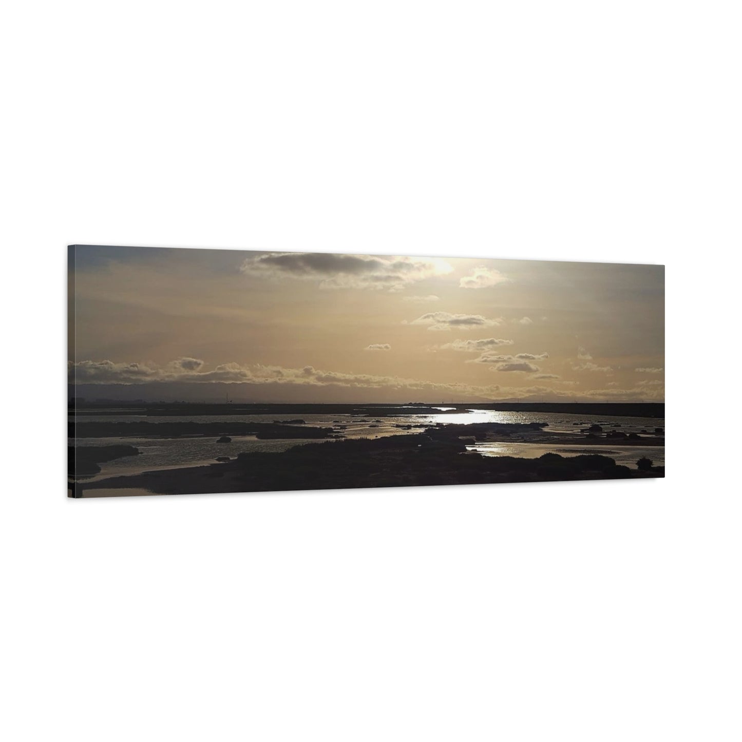 Sunlit Coastal Reflection (don edwards preserve)Canvas Print — Matte Stretched Wall Art