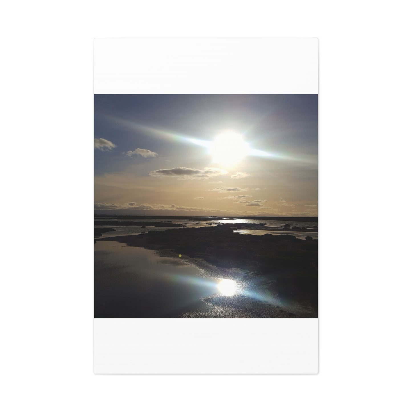 Sunlit Coastal Reflection (don edwards preserve)Canvas Print — Matte Stretched Wall Art