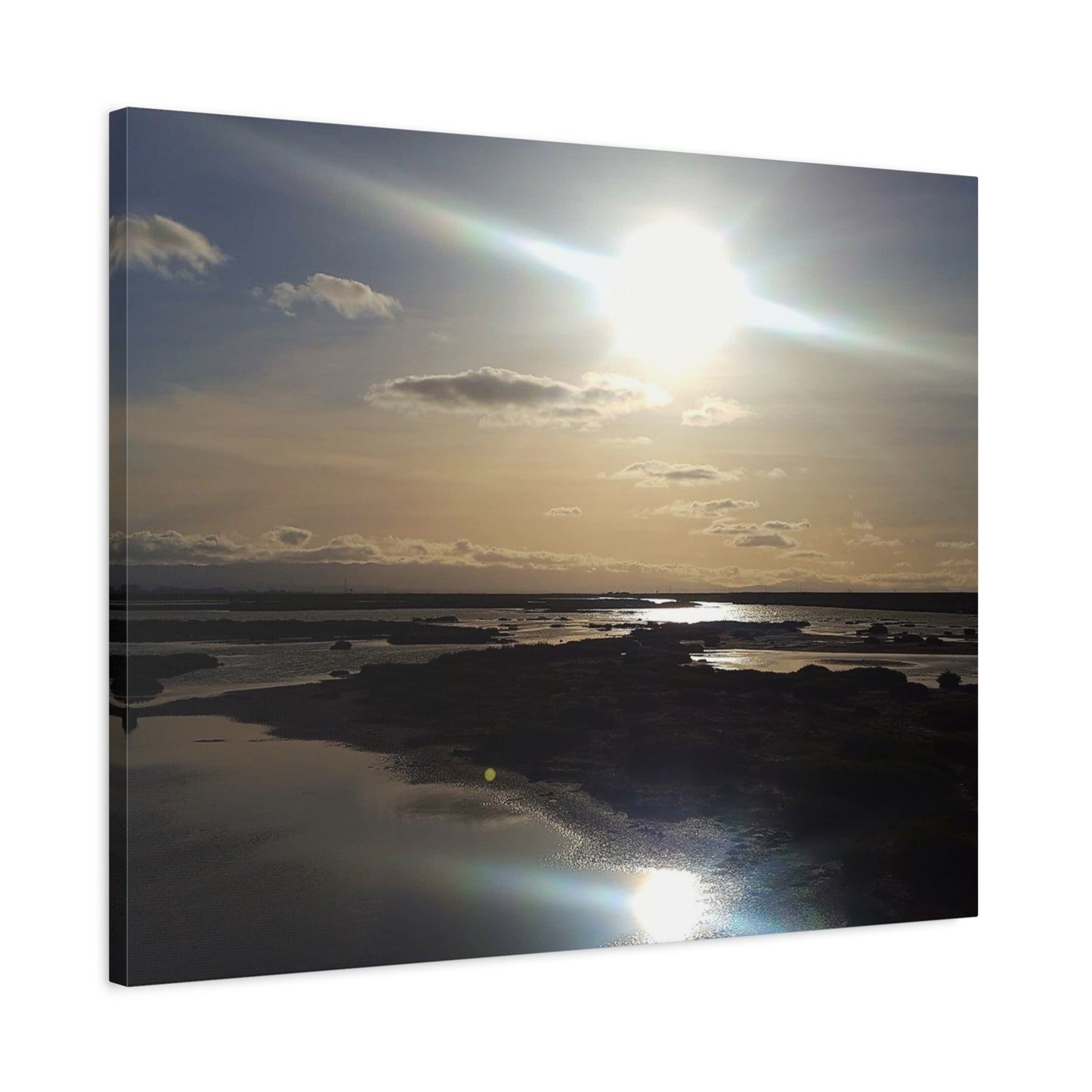 Sunlit Coastal Reflection (don edwards preserve)Canvas Print — Matte Stretched Wall Art