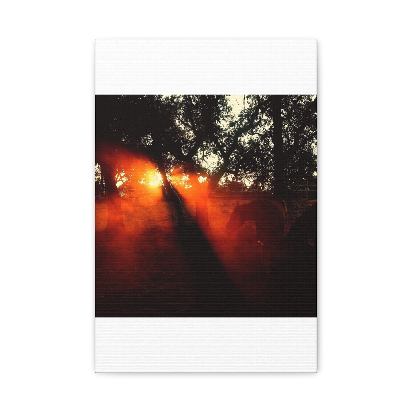 Sunset Forest Matte Canvas Wall Art — Dramatic Orange Light Photography