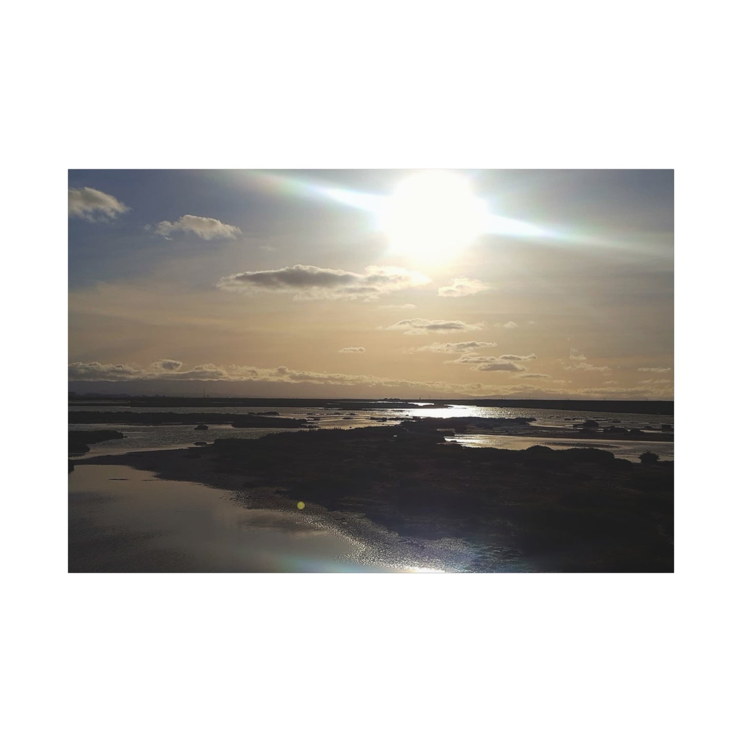Sunlit Coastal Reflection (don edwards preserve)Canvas Print — Matte Stretched Wall Art