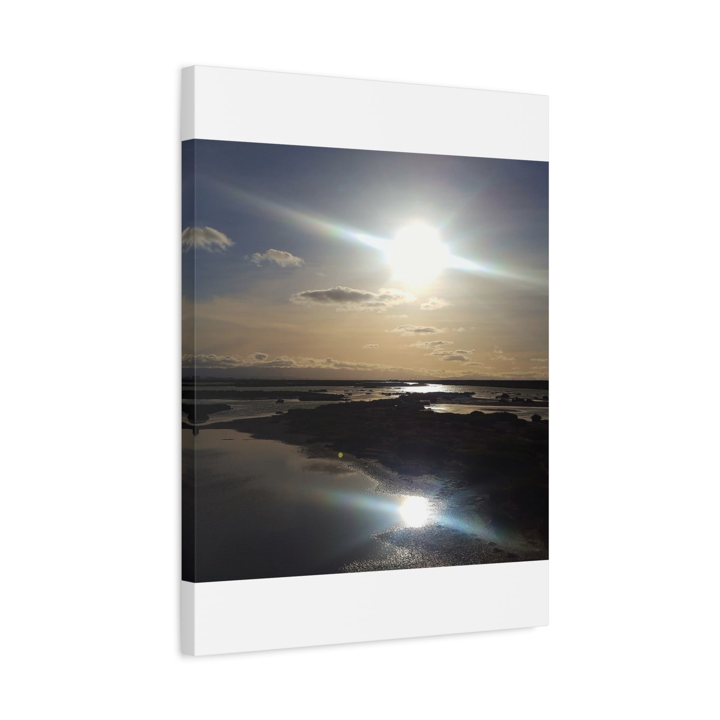 Sunlit Coastal Reflection (don edwards preserve)Canvas Print — Matte Stretched Wall Art
