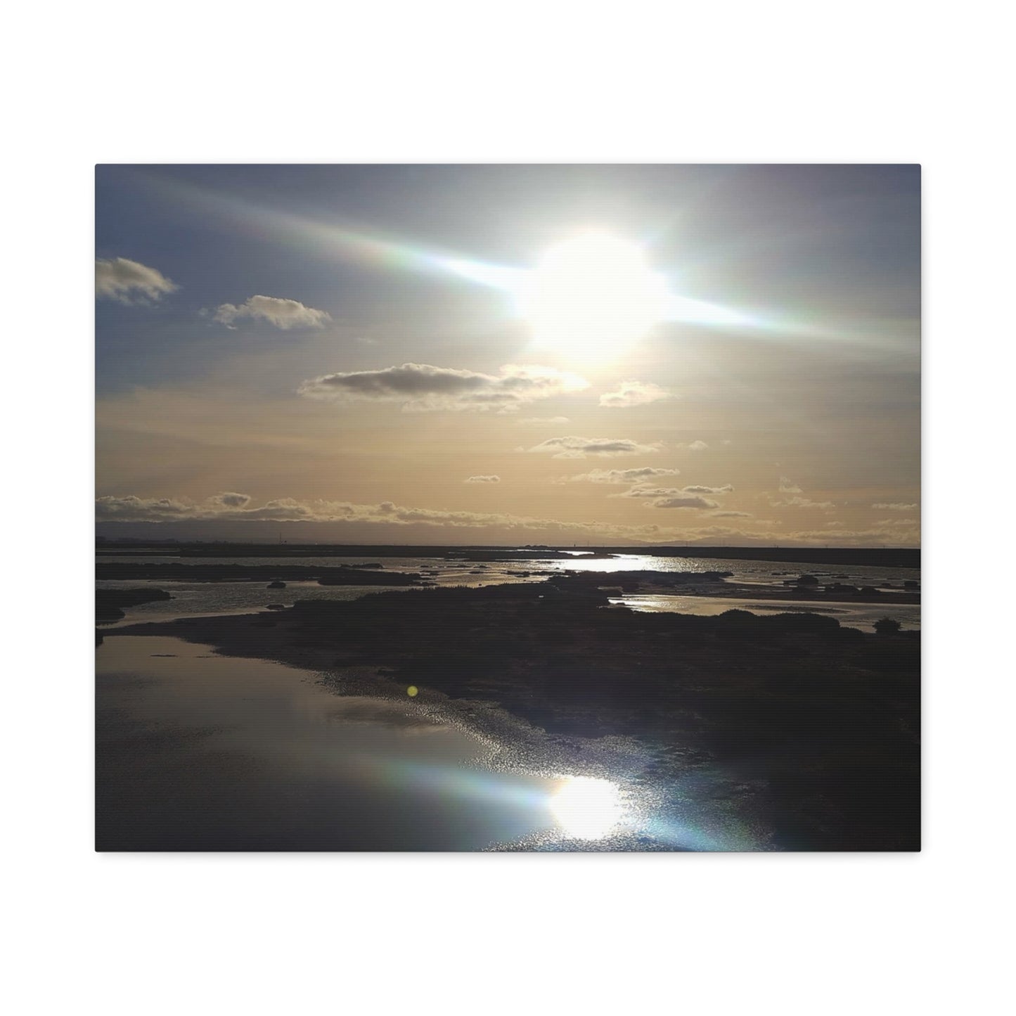 Sunlit Coastal Reflection (don edwards preserve)Canvas Print — Matte Stretched Wall Art