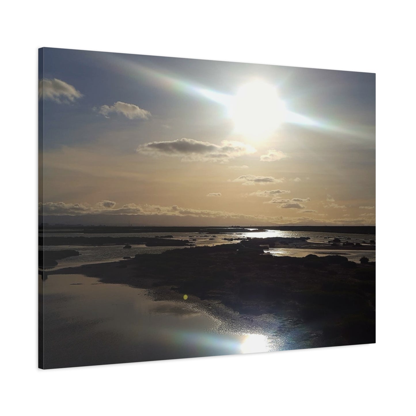 Sunlit Coastal Reflection (don edwards preserve)Canvas Print — Matte Stretched Wall Art