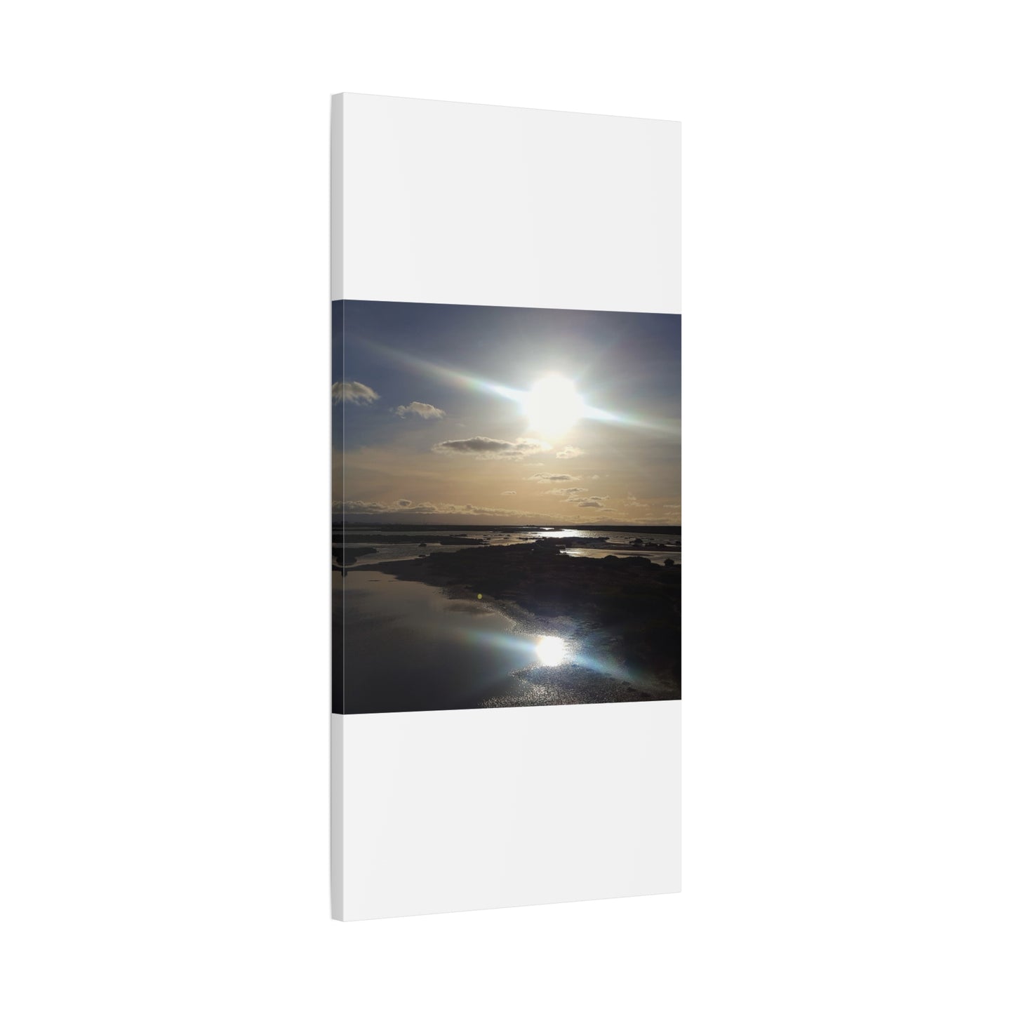 Sunlit Coastal Reflection (don edwards preserve)Canvas Print — Matte Stretched Wall Art