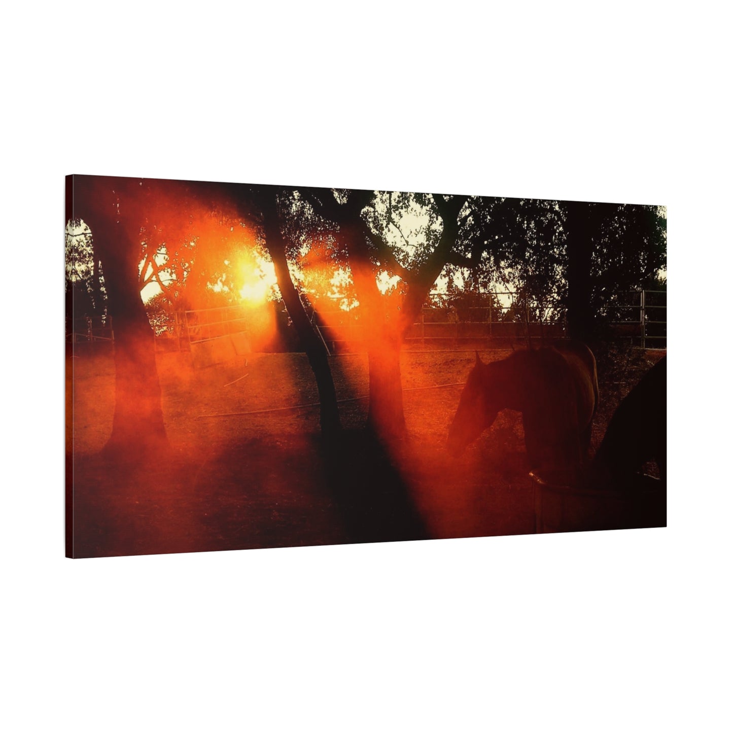 Sunset Forest Matte Canvas Wall Art — Dramatic Orange Light Photography