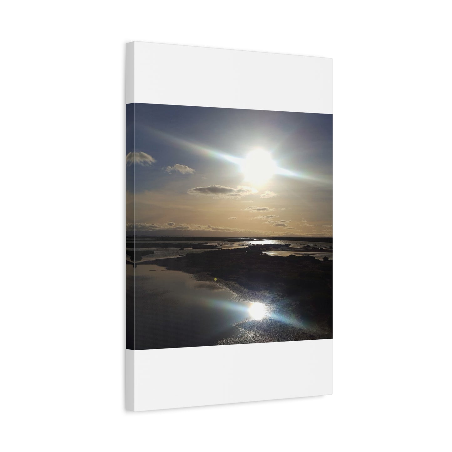 Sunlit Coastal Reflection (don edwards preserve)Canvas Print — Matte Stretched Wall Art