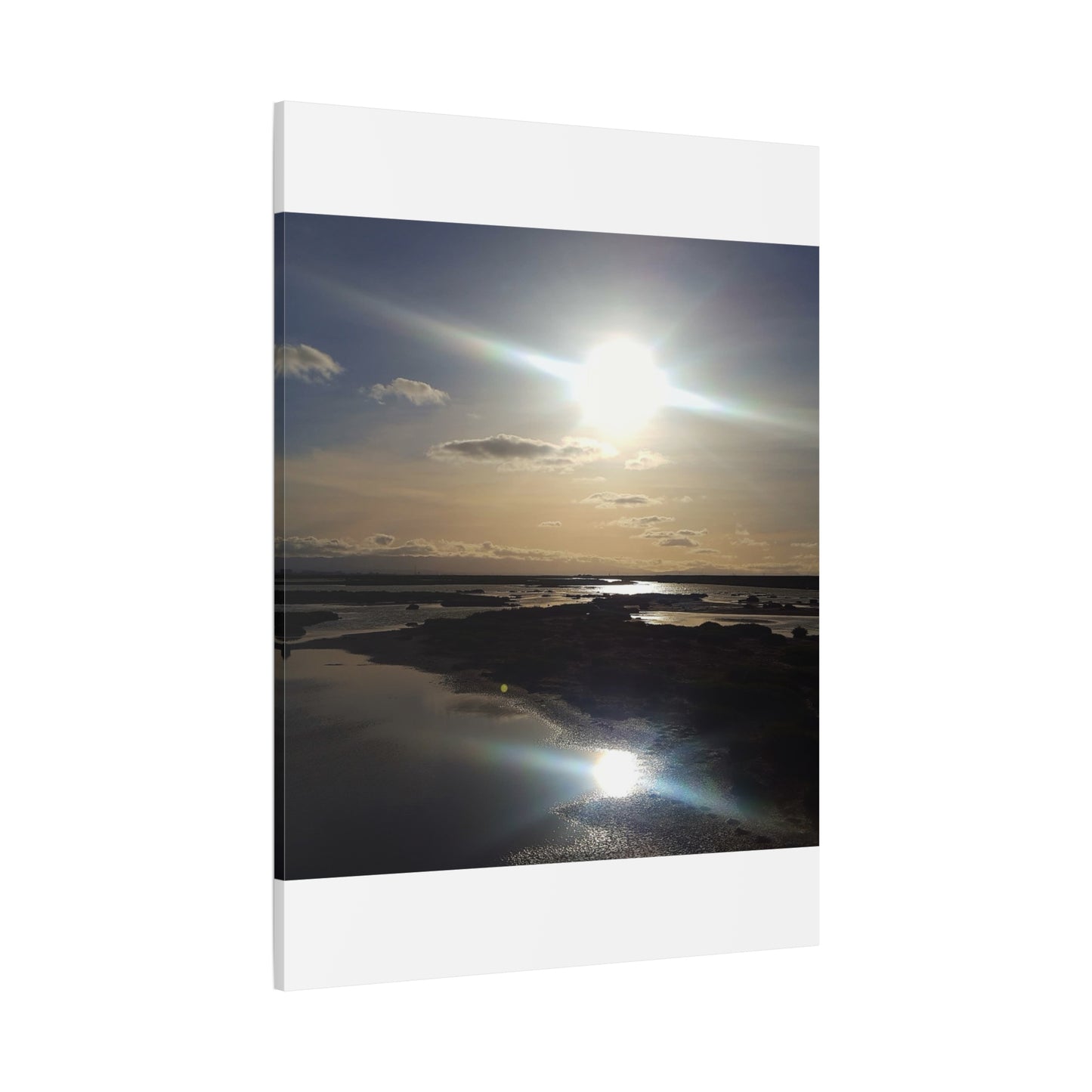 Sunlit Coastal Reflection (don edwards preserve)Canvas Print — Matte Stretched Wall Art