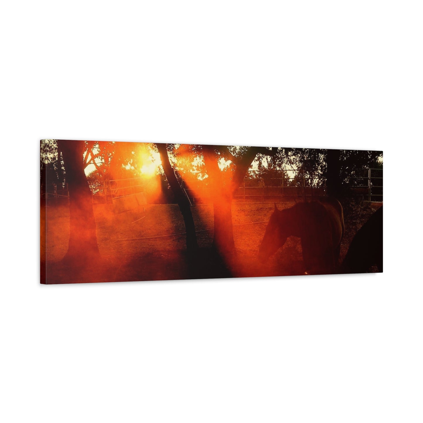 Sunset Forest Matte Canvas Wall Art — Dramatic Orange Light Photography