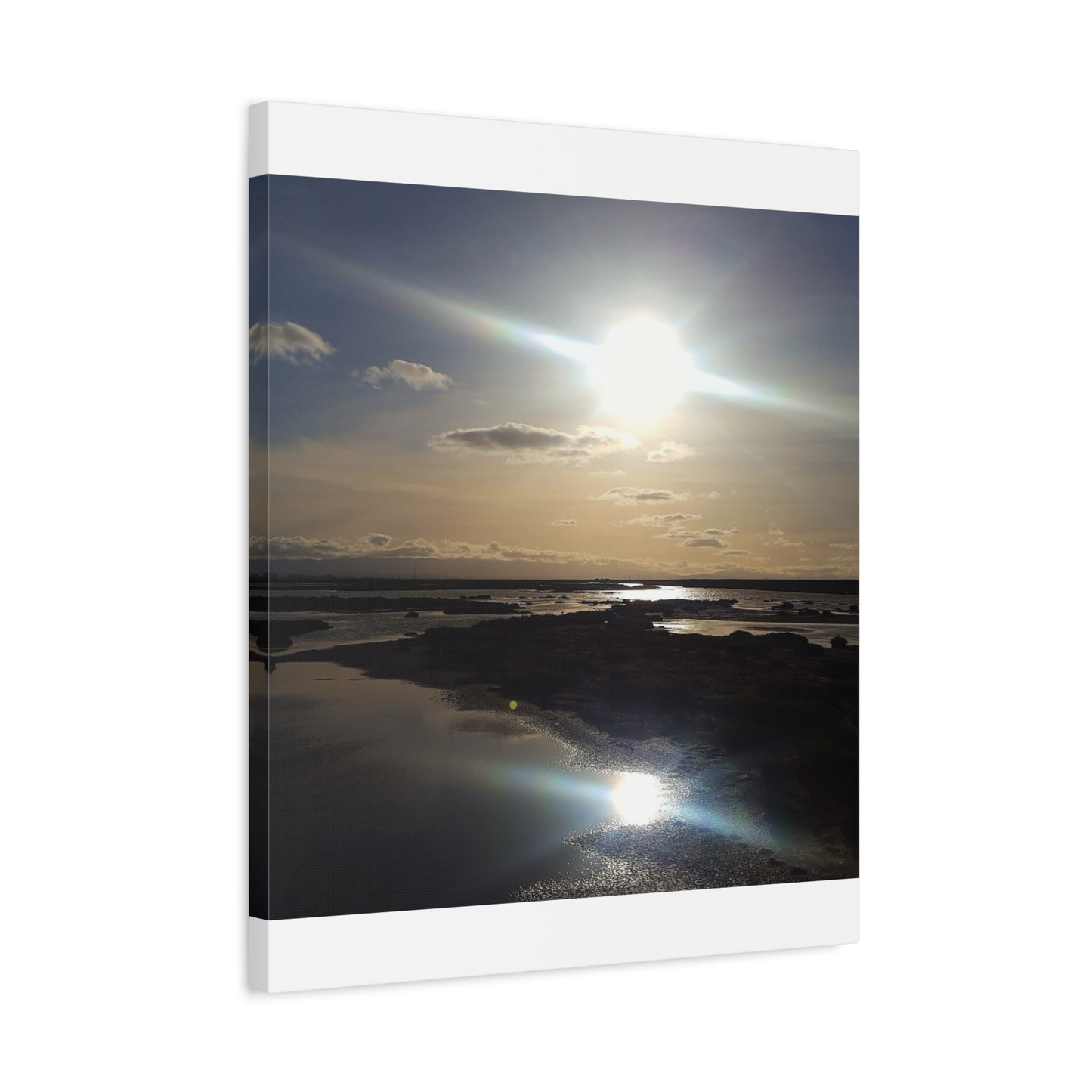 Sunlit Coastal Reflection (don edwards preserve)Canvas Print — Matte Stretched Wall Art