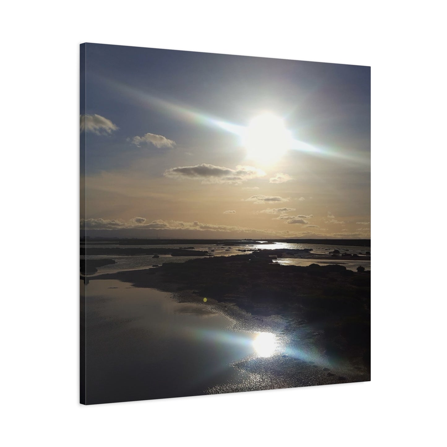 Sunlit Coastal Reflection (don edwards preserve)Canvas Print — Matte Stretched Wall Art