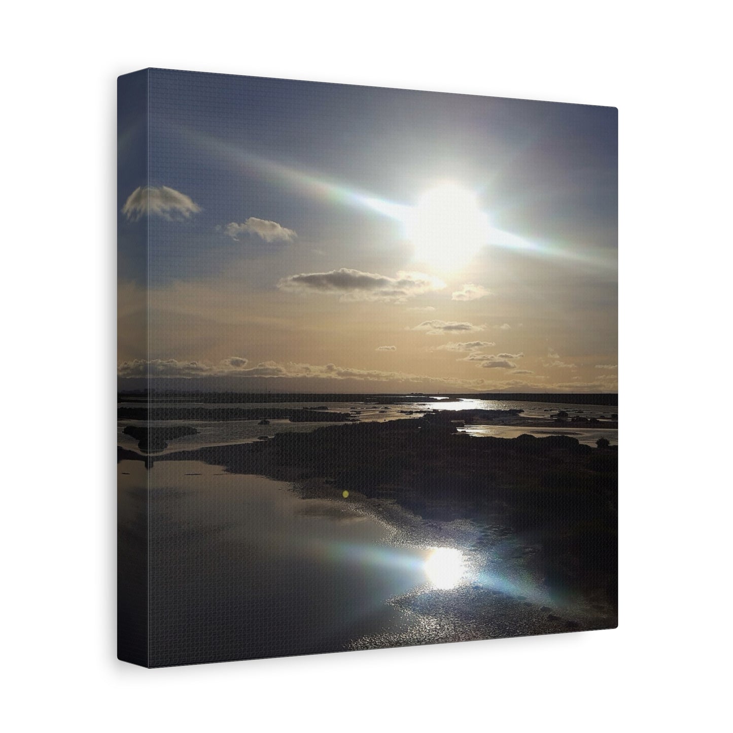 Sunlit Coastal Reflection (don edwards preserve)Canvas Print — Matte Stretched Wall Art