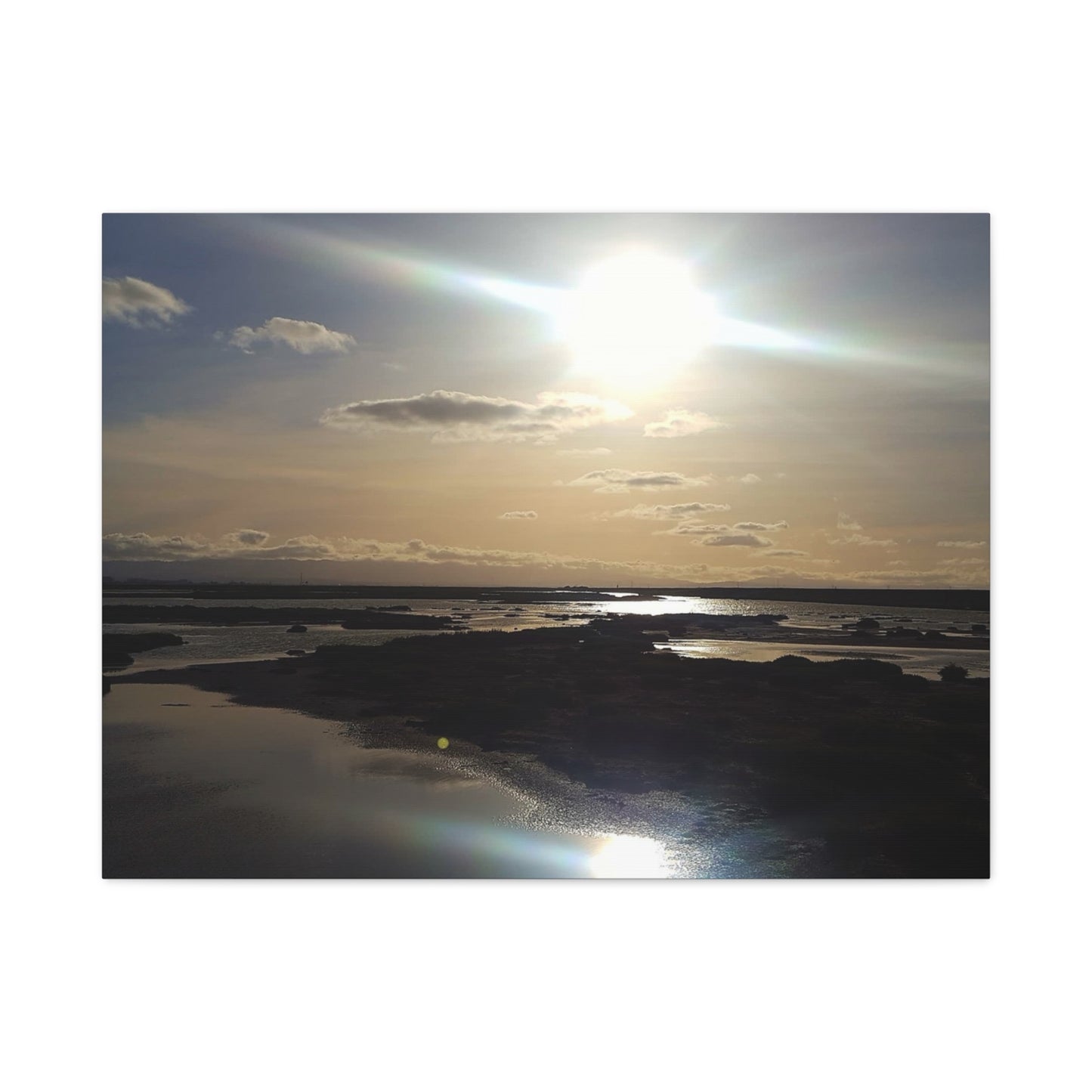 Sunlit Coastal Reflection (don edwards preserve)Canvas Print — Matte Stretched Wall Art