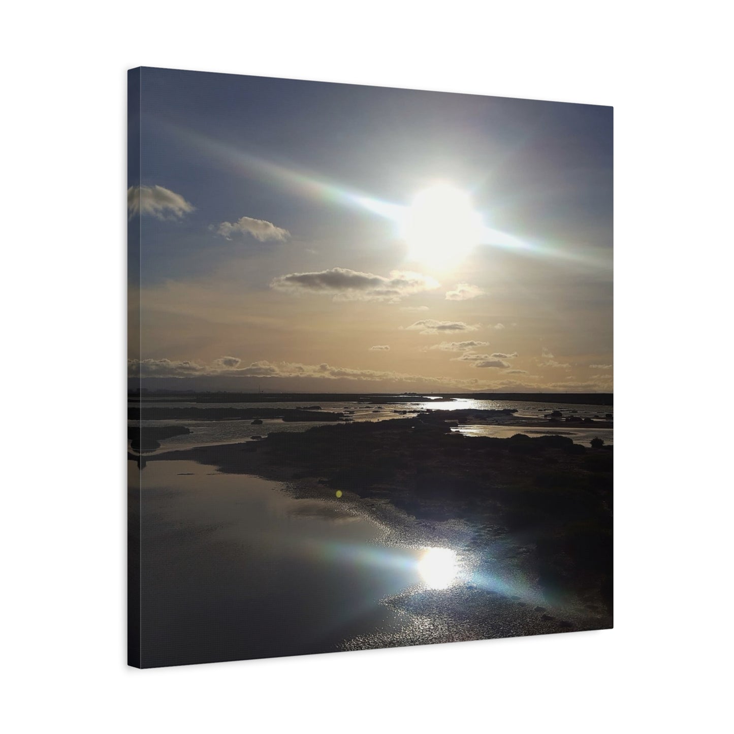 Sunlit Coastal Reflection (don edwards preserve)Canvas Print — Matte Stretched Wall Art