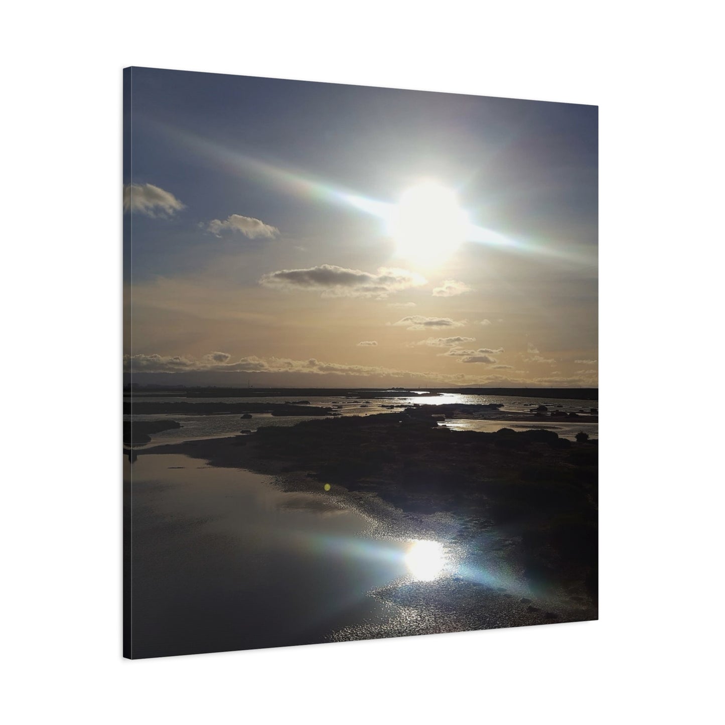 Sunlit Coastal Reflection (don edwards preserve)Canvas Print — Matte Stretched Wall Art