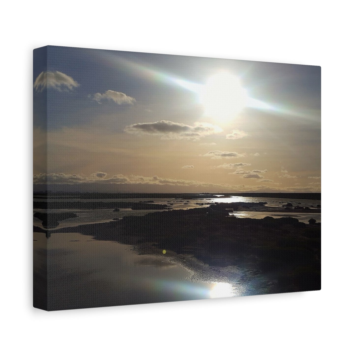 Sunlit Coastal Reflection (don edwards preserve)Canvas Print — Matte Stretched Wall Art
