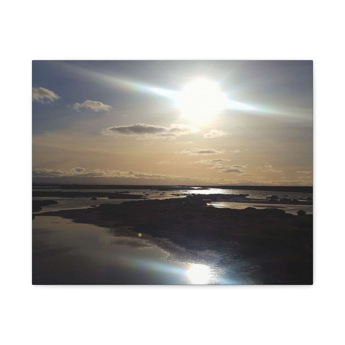 Sunlit Coastal Reflection (don edwards preserve)Canvas Print — Matte Stretched Wall Art