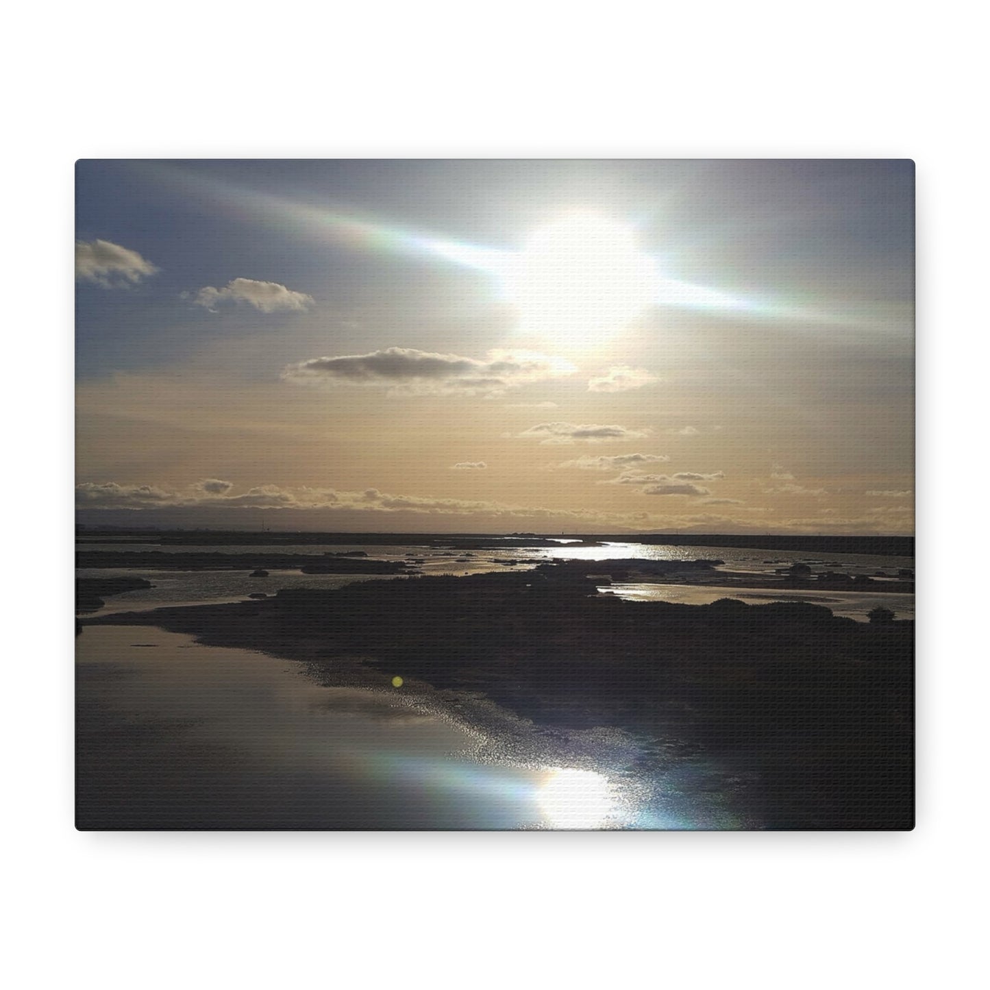 Sunlit Coastal Reflection (don edwards preserve)Canvas Print — Matte Stretched Wall Art