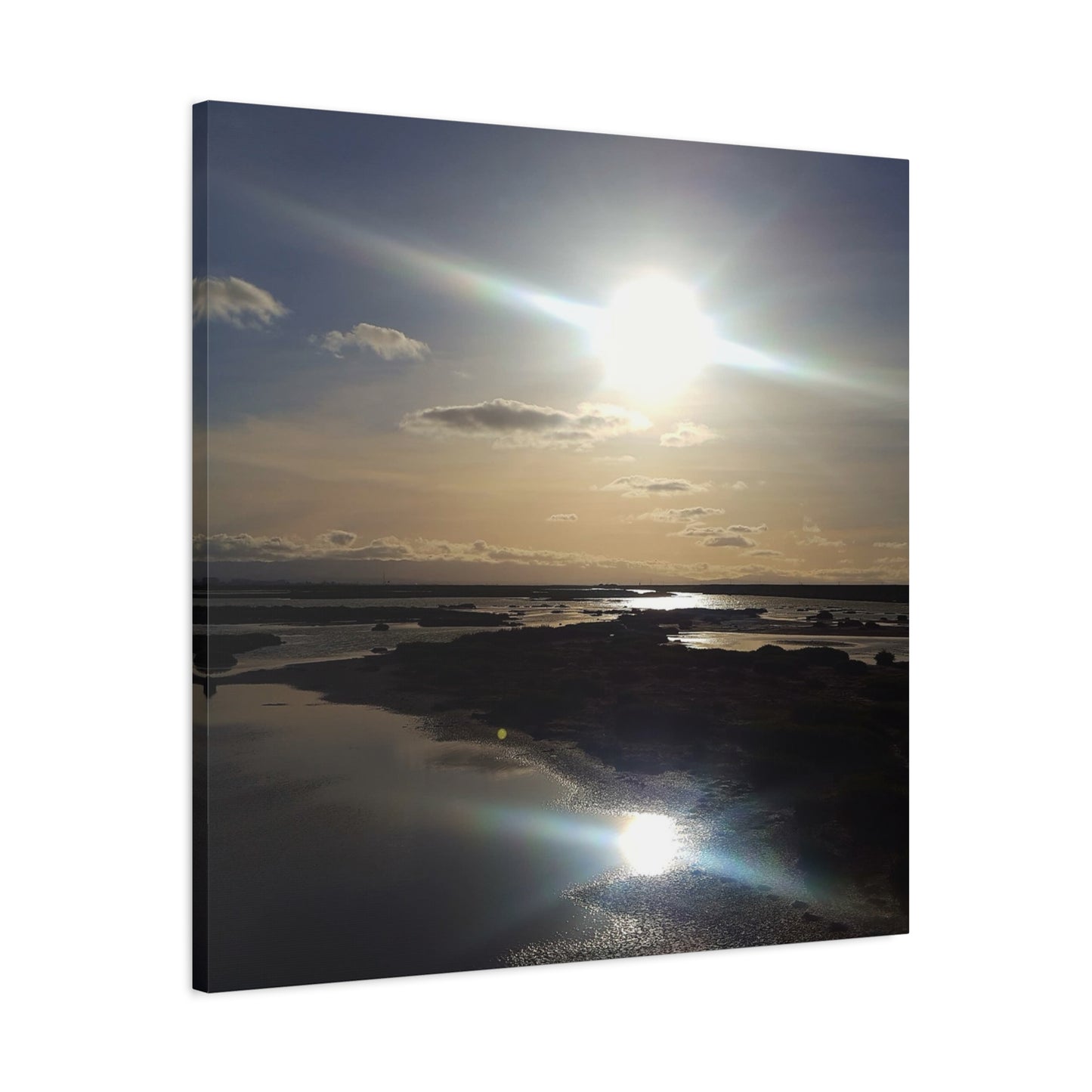 Sunlit Coastal Reflection (don edwards preserve)Canvas Print — Matte Stretched Wall Art
